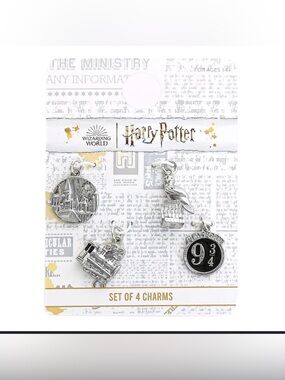 Warner Bros. Harry Potter Silver & Black 4-Charm Set
